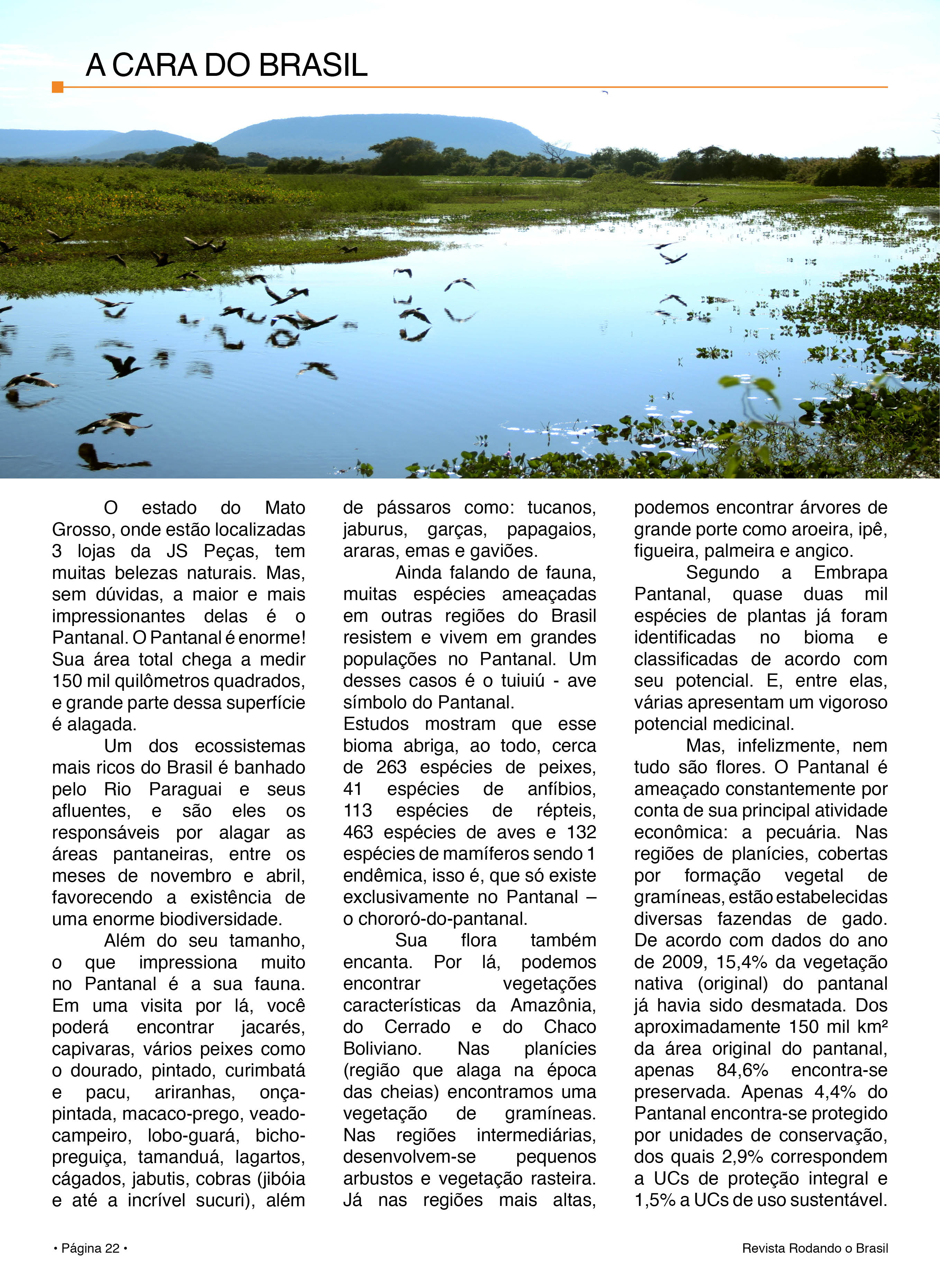 pagina22