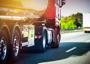 Vida longa ao seu bruto!