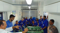 Força Técnica em Maceió