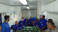 Força Técnica em Maceió